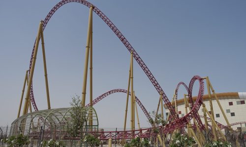 Img-World-scaled.jpeg