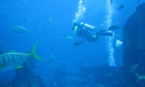 Scuba.jpeg