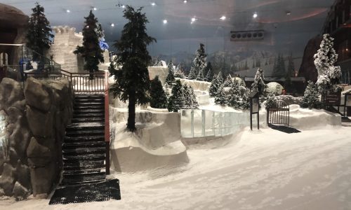 Ski-Dubai-scaled.jpeg